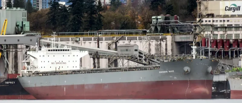 KNOSSOS WAVE Bulk Carrier IMO 9454917 photo 3