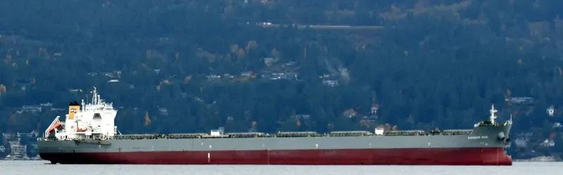KNOSSOS WAVE Bulk Carrier IMO 9454917 photo 4