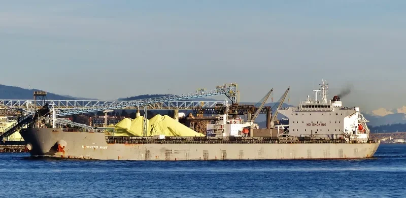 KNOSSOS WAVE Bulk Carrier IMO 9454917 photo 7