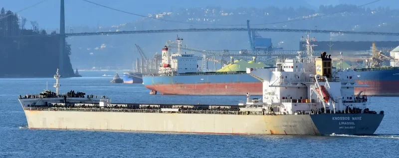 KNOSSOS WAVE Bulk Carrier IMO 9454917 photo 9