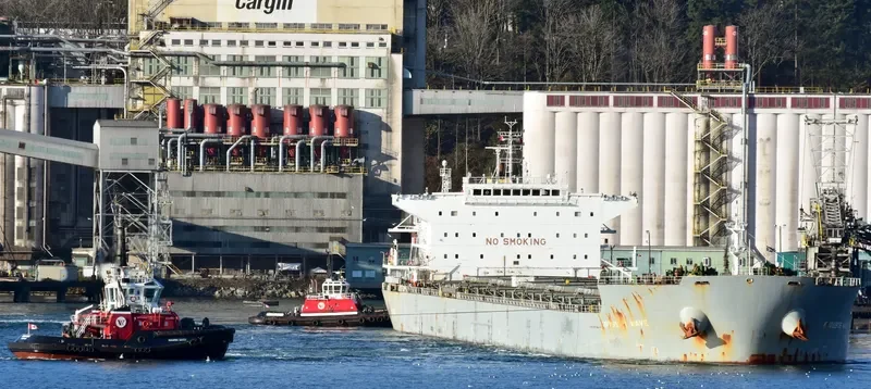 KNOSSOS WAVE Bulk Carrier IMO 9454917 photo 10