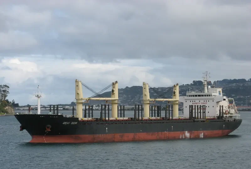GREAT OCEAN Bulk Carrier IMO 9455375 photo 5