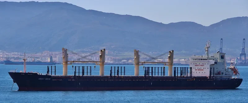 GREAT OCEAN Bulk Carrier IMO 9455375 photo 10