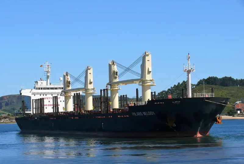 VIET THUAN 35 01 Bulk Carrier IMO 9455387 photo 7