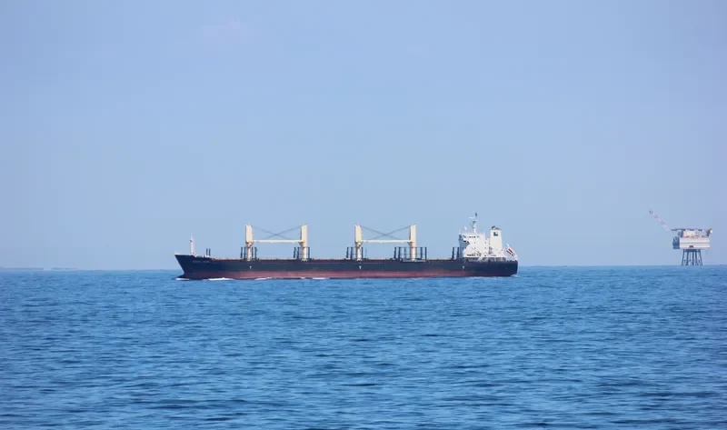 TBC KAILASH Bulk Carrier IMO 9455399 photo 9