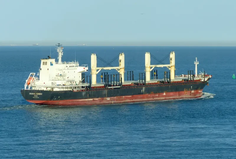TBC KAILASH Bulk Carrier IMO 9455399 photo 10