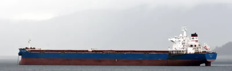 MARAN DAWN Bulk Carrier IMO 9455533 photo 5