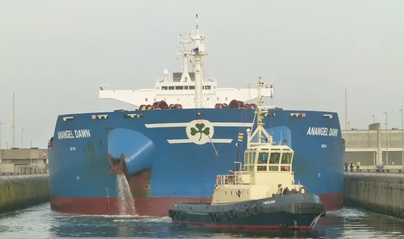 MARAN DAWN Bulk Carrier IMO 9455533 photo 9