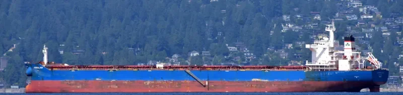 MARAN SKY Bulk Carrier IMO 9455545 photo 2
