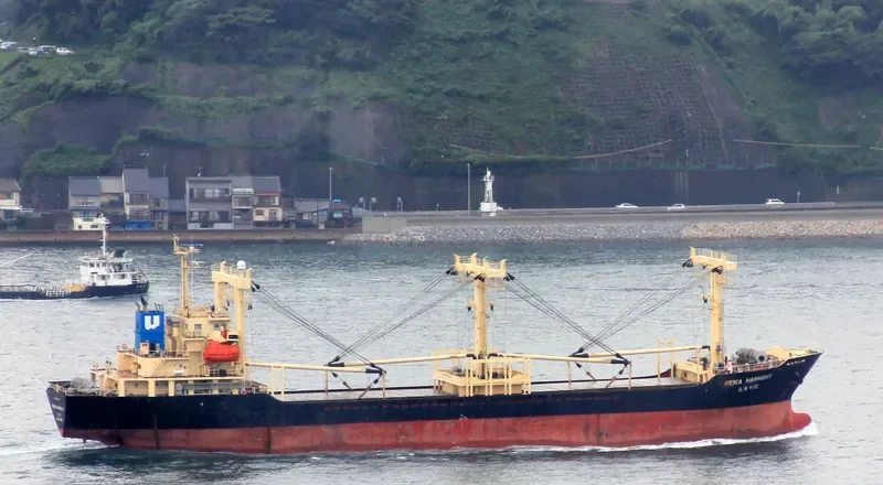 SITHONIA II General Cargo IMO 9455571 photo 8