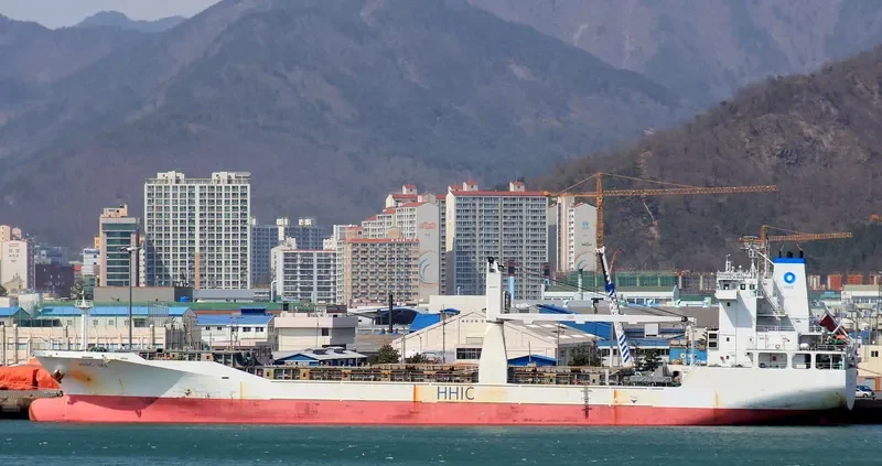 H SEAL General Cargo IMO 9455595 photo 4