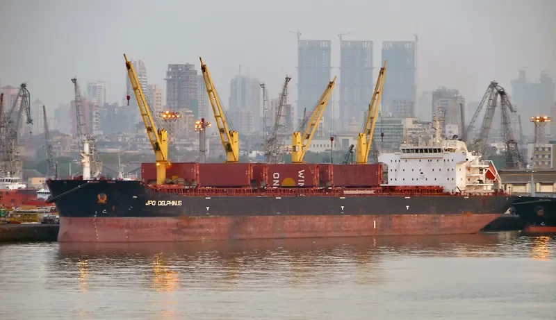 WOOYANG DANDY Bulk Carrier IMO 9455648