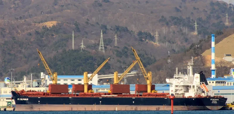 WOOYANG DANDY Bulk Carrier IMO 9455648 photo 2