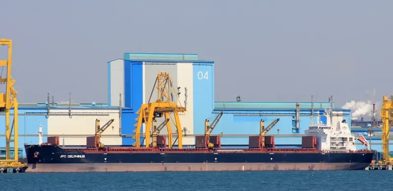 WOOYANG DANDY Bulk Carrier IMO 9455648 photo 3