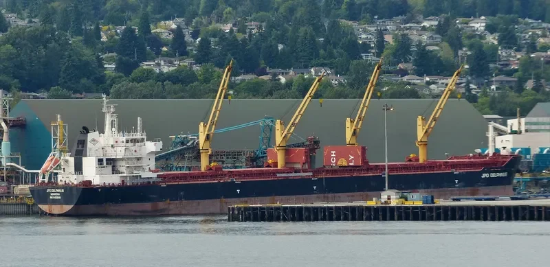 WOOYANG DANDY Bulk Carrier IMO 9455648 photo 5