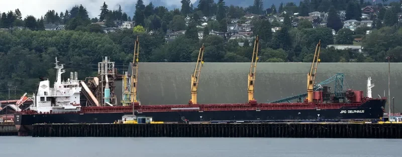 WOOYANG DANDY Bulk Carrier IMO 9455648 photo 8