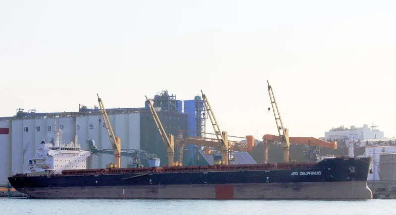 WOOYANG DANDY Bulk Carrier IMO 9455648 photo 9