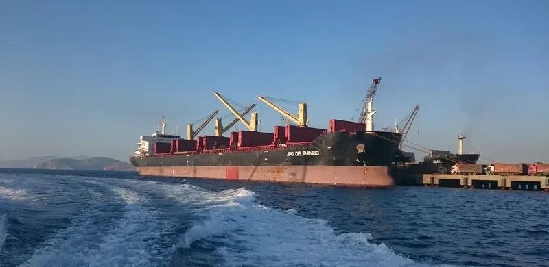 WOOYANG DANDY Bulk Carrier IMO 9455648 photo 10