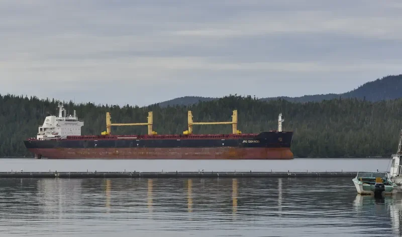 BREEZE Bulk Carrier IMO 9455650 photo 3