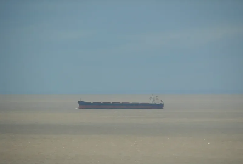 PANAYIOTA K Bulk Carrier IMO 9455856 photo 7