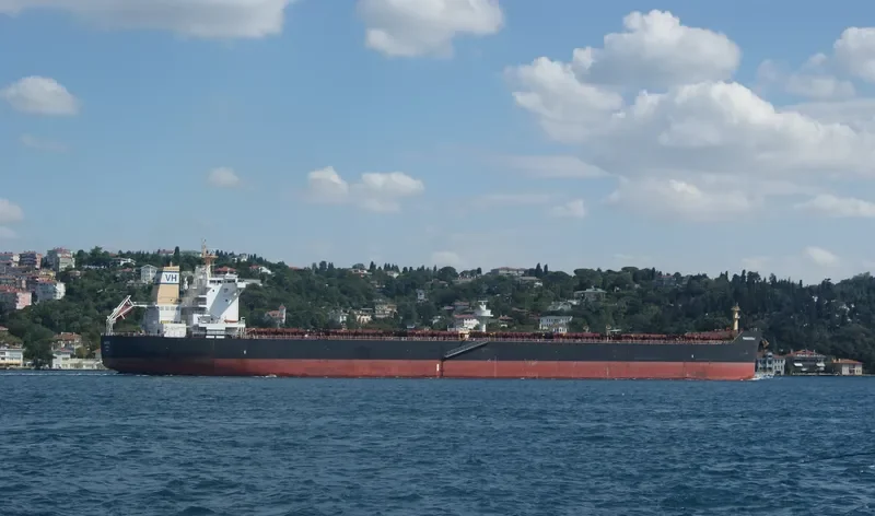 PANAYIOTA K Bulk Carrier IMO 9455856 photo 10
