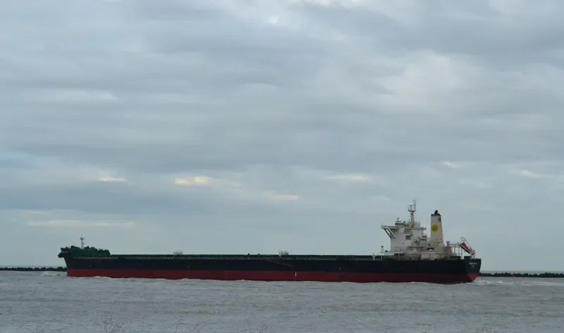 MH PHOENIX BEAUTY Bulk Carrier IMO 9455894 photo 3