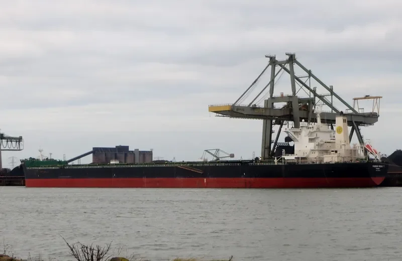 MH PHOENIX BEAUTY Bulk Carrier IMO 9455894 photo 4