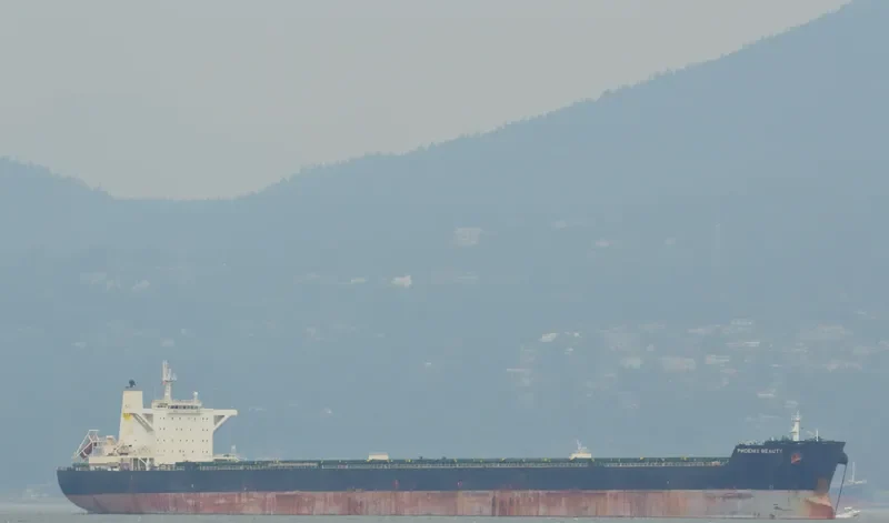 MH PHOENIX BEAUTY Bulk Carrier IMO 9455894 photo 6