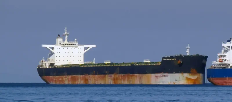 MH PHOENIX BEAUTY Bulk Carrier IMO 9455894 photo 7