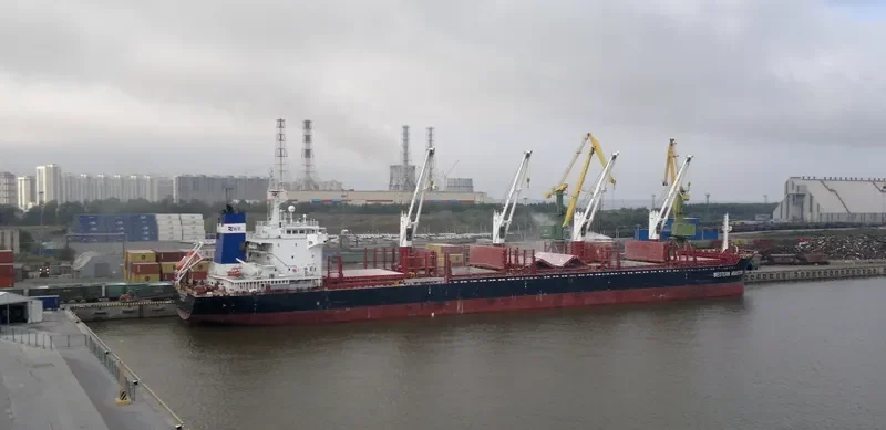 SFL CLYDE Bulk Carrier IMO 9455911 photo 9