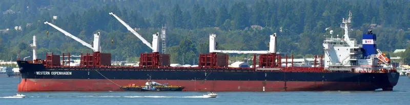 SFL DEE Bulk Carrier IMO 9455923 photo 5
