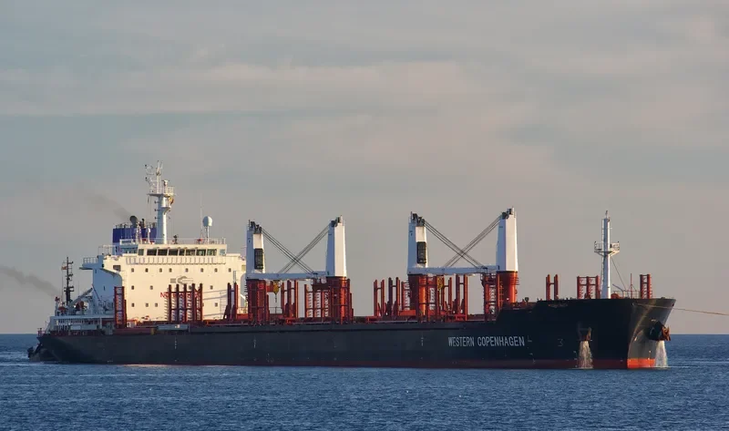 SFL DEE Bulk Carrier IMO 9455923 photo 7
