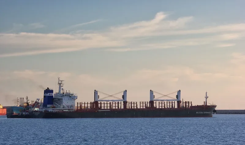 SFL DEE Bulk Carrier IMO 9455923 photo 8