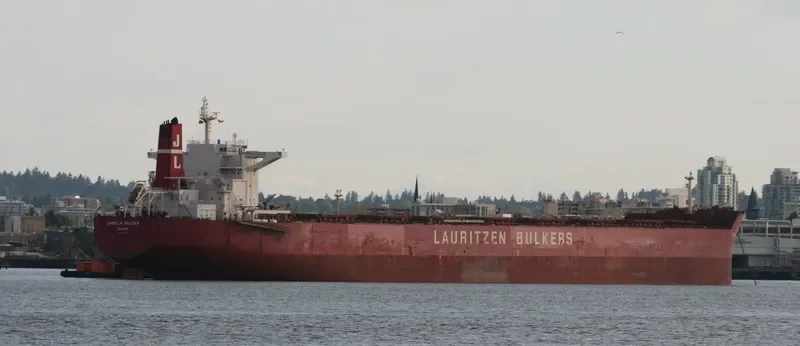 AQUAMAKA Bulk Carrier IMO 9455961 photo 8