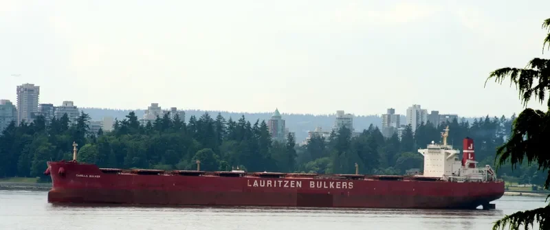 AQUAMAKA Bulk Carrier IMO 9455961 photo 9
