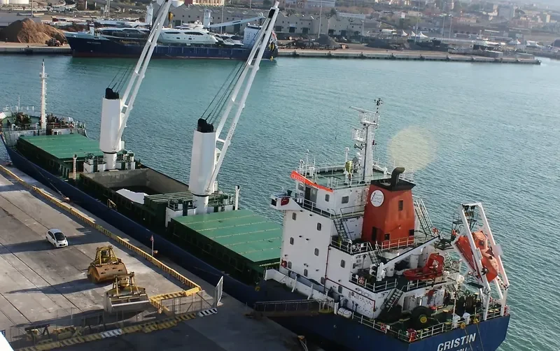 CRISTIN Bulk Carrier IMO 9455985