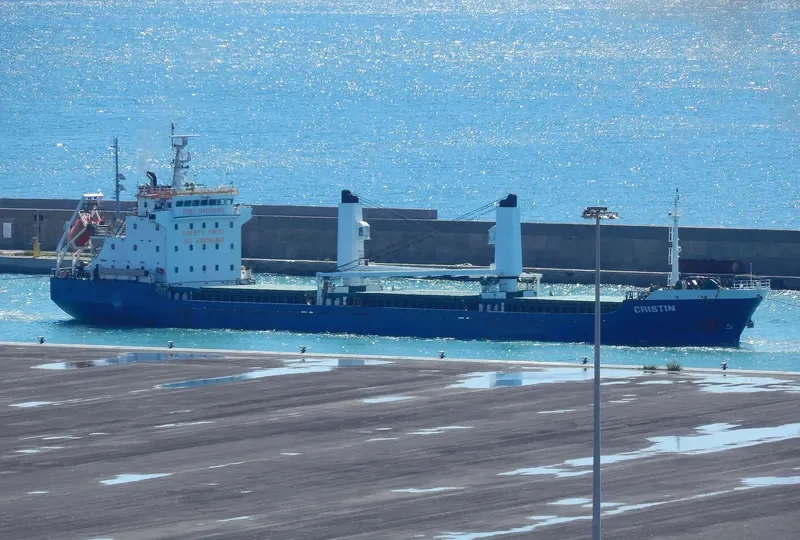 CRISTIN Bulk Carrier IMO 9455985 photo 3