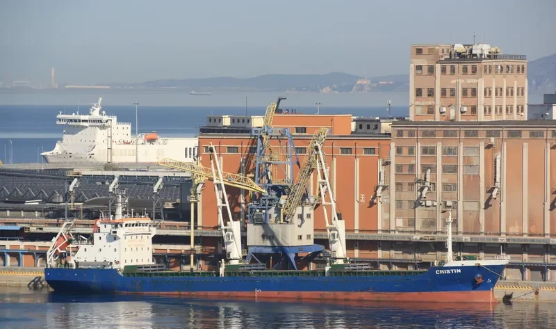 CRISTIN Bulk Carrier IMO 9455985 photo 6