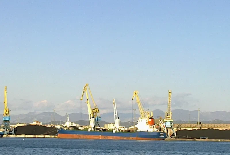 CRISTIN Bulk Carrier IMO 9455985 photo 7
