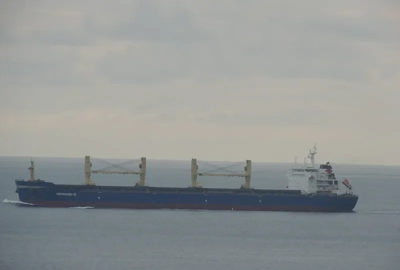 CHEVAL BLANC Bulk Carrier IMO 9456123 photo 6