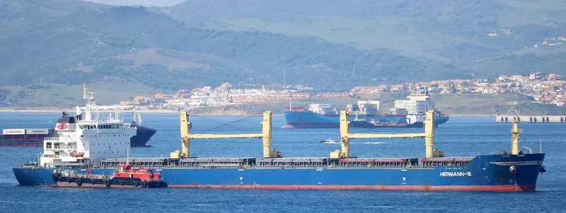 CHEVAL BLANC Bulk Carrier IMO 9456123 photo 8