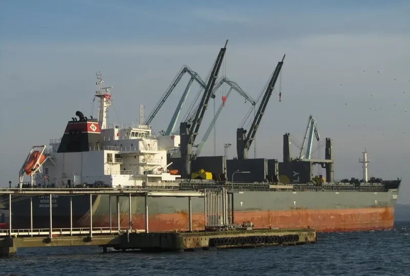TAURUS HONOR Bulk Carrier IMO 9456135 photo 5