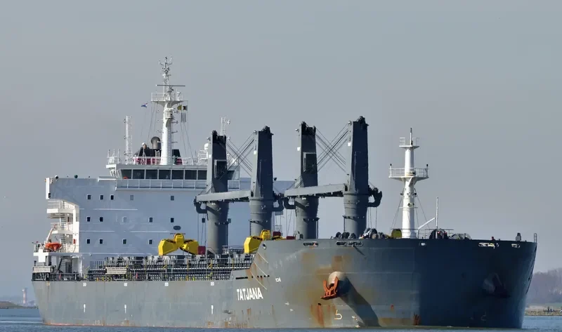 TAURUS HONOR Bulk Carrier IMO 9456135 photo 7