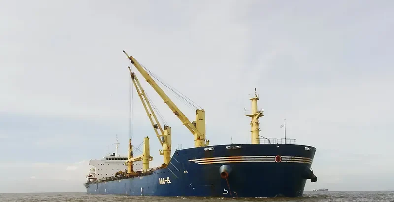 TANZANITE Bulk Carrier IMO 9456147