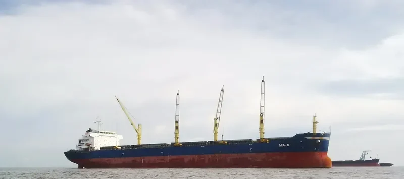 TANZANITE Bulk Carrier IMO 9456147 photo 2