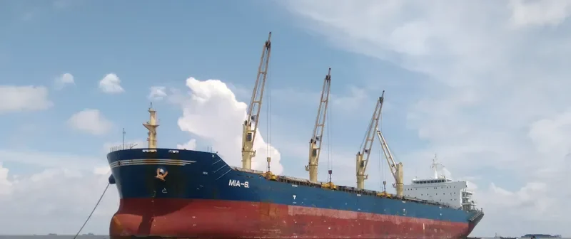 TANZANITE Bulk Carrier IMO 9456147 photo 3