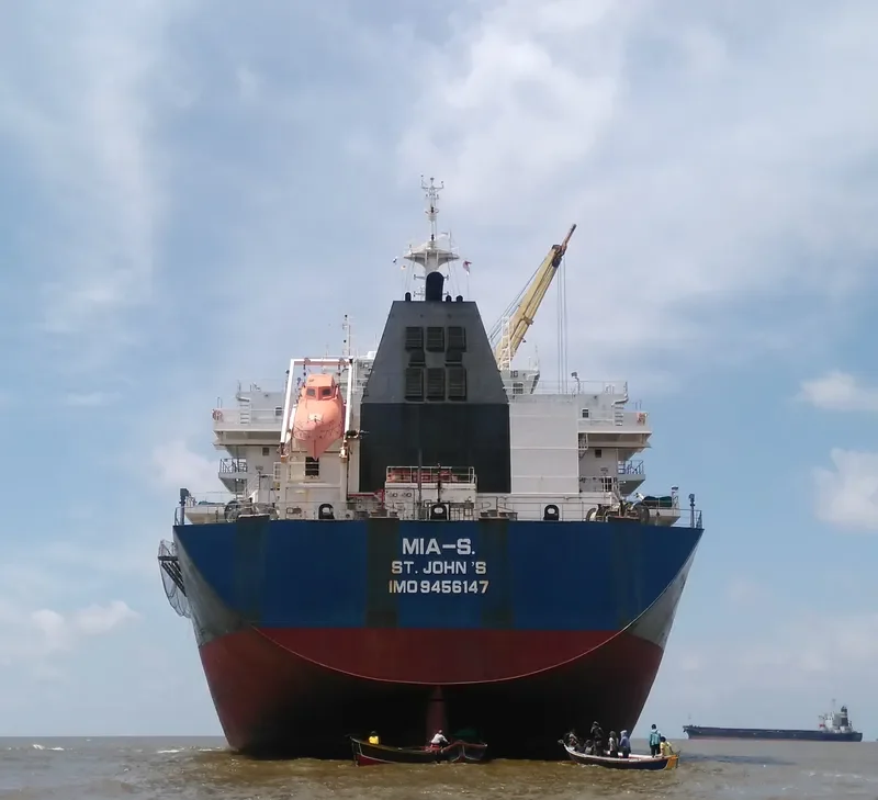 TANZANITE Bulk Carrier IMO 9456147 photo 4