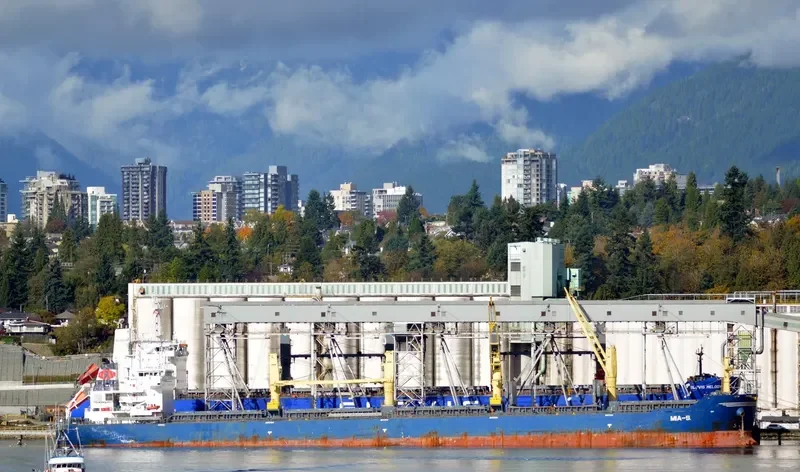 TANZANITE Bulk Carrier IMO 9456147 photo 6