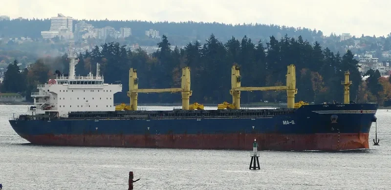 TANZANITE Bulk Carrier IMO 9456147 photo 7
