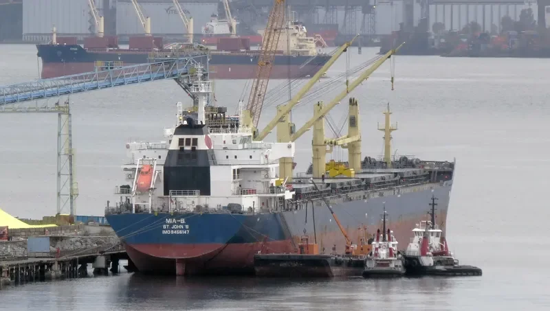 TANZANITE Bulk Carrier IMO 9456147 photo 8